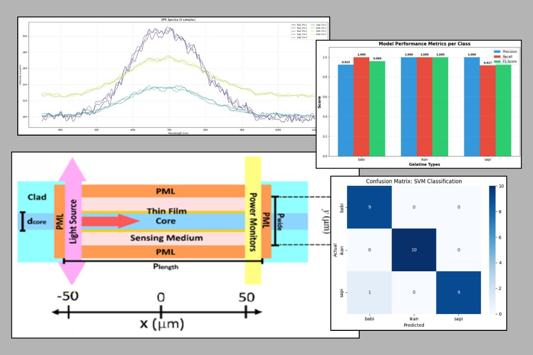 SPR Sensor for Halal Gelatin Detection